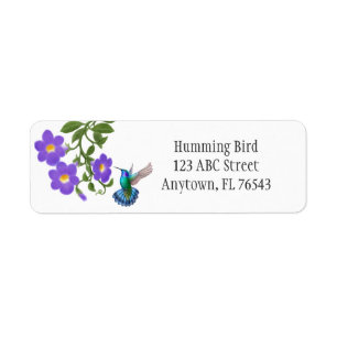 Tropical Hummingbird on Thunbergia Blume L