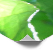 Tropical Hydrangea Tree Poster (Ecke)