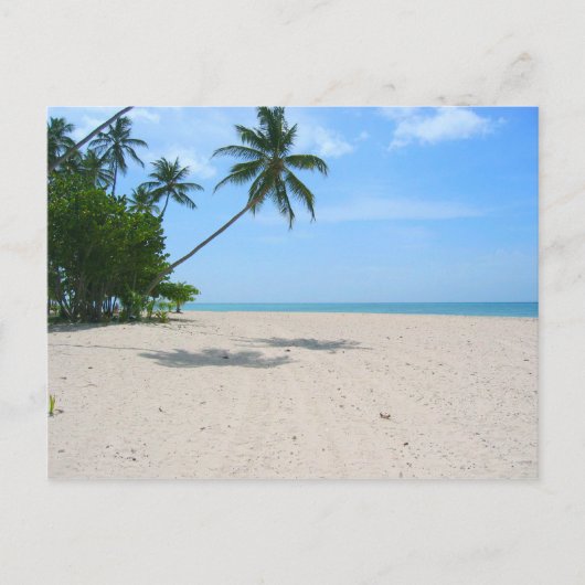 Tropical Island Beach, Seychellen) Postkarte (Vorderseite)