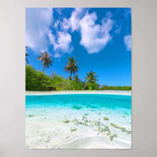Tropical Island Coconut Palm Beach Poster