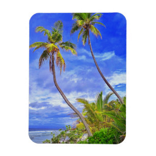 Tropical Island Coconut Palm Tree Tanz Magnet