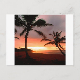 Tropical Island Palms Dominikanische Republik Postkarte