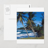 Tropical Island Summer Waves St Lucia Postkarte (Vorne/Hinten)