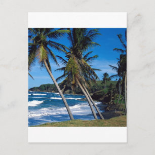 Tropical Island Summer Waves St Lucia Postkarte