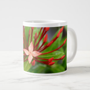 Tropical Jumbo Red Blume Panama Kaffee Tasse Yotig