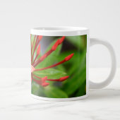 Tropical Jumbo Red Blume Panama Kaffee Tasse Yotig (Rechts)