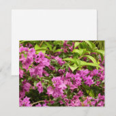 Tropical Lila Bougainvillea Floral (Vorne/Hinten)