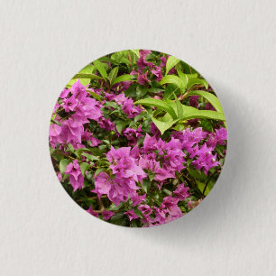 Tropical Lila Bougainvillea Floral Button