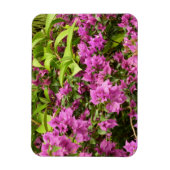 Tropical Lila Bougainvillea Floral Magnet (Vertikal)