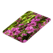 Tropical Lila Bougainvillea Floral Magnet (Linke Seite)