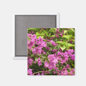 Tropical Lila Bougainvillea Floral Magnet (Vorderseite/Rückseite)