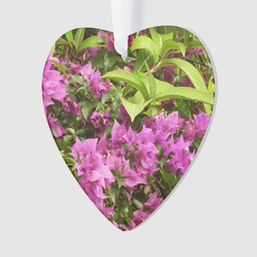 Tropical Lila Bougainvillea Floral Ornament (Vorderseite)