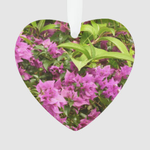 Tropical Lila Bougainvillea Floral Ornament