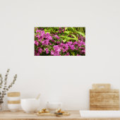 Tropical Lila Bougainvillea Floral Poster (Küche)