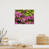 Tropical Lila Bougainvillea Floral Poster (Küche)