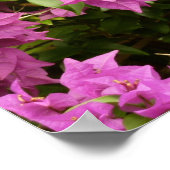 Tropical Lila Bougainvillea Floral Poster (Ecke)
