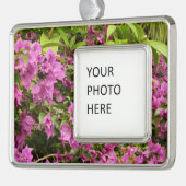 Tropical Lila Bougainvillea Floral Rahmen-Ornament Silber (Links)