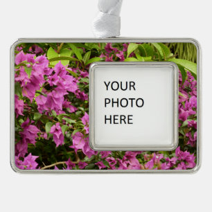 Tropical Lila Bougainvillea Floral Rahmen-Ornament Silber