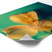 Tropical Lily Poster (Ecke)