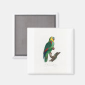 tropical macaw parrot magnet (Vorderseite/Rückseite)