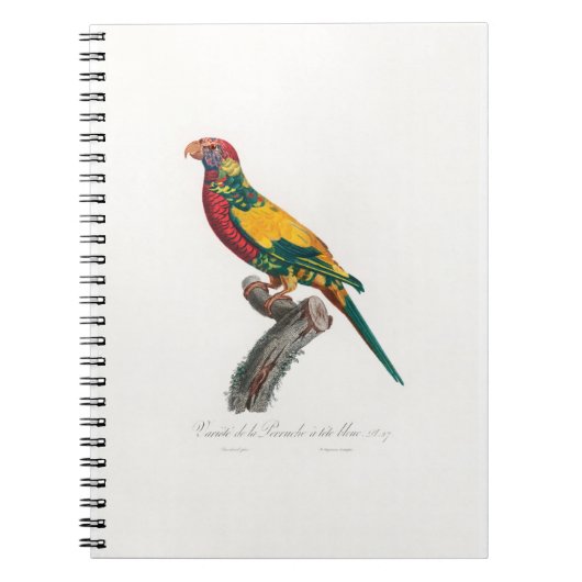 tropical macaw parrot notizblock (Vorderseite)