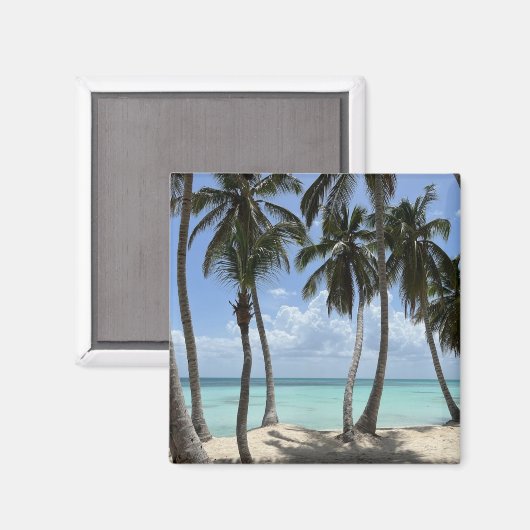 Tropical Magnet (Vorderseite/Rückseite)