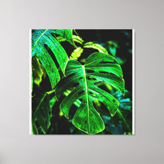 Tropical Monstera Glow – Jungle Leaf Photography Leinwanddruck