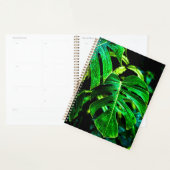 Tropical Monstera Glow – Jungle Leaf Photography Planer (Anzeige)
