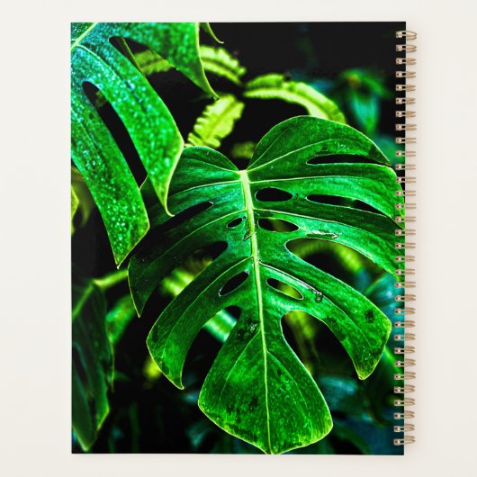 Tropical Monstera Glow – Jungle Leaf Photography Planer (Rückseite)