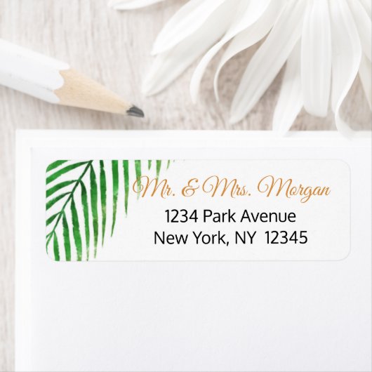 Tropical Palm (Insitu)