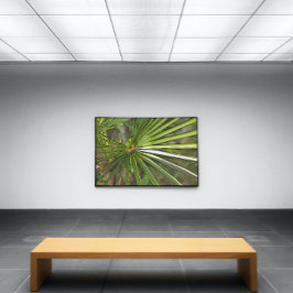 Tropical Palm Black Kontur Art Leinwanddruck