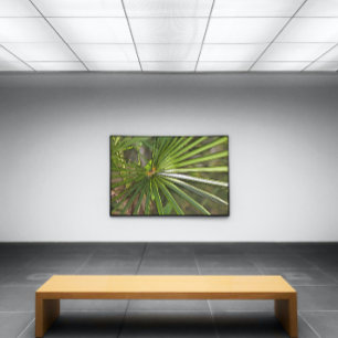 Tropical Palm Black Kontur Art Leinwanddruck