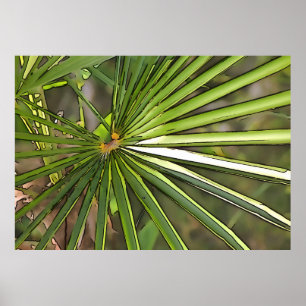 Tropical Palm Black Kontur Art Poster
