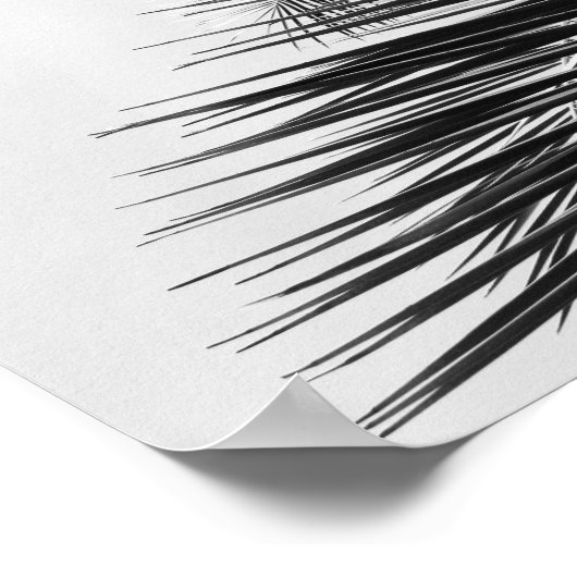 Tropical Palm Blätter Moderner Neuer Schriftart Ha Poster (Ecke)