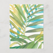 Tropical Palm Blätter Postkarte (Vorderseite)