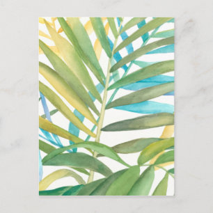 Tropical Palm Blätter Postkarte