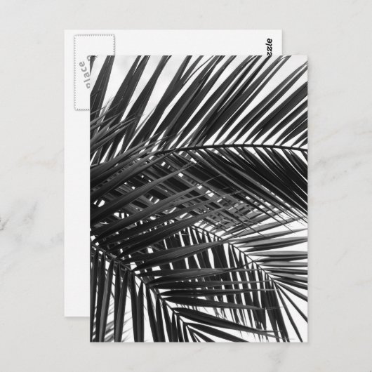 Tropical Palm Blätter - Schwarz-Weiß-Fotografie Postkarte (Vorne/Hinten)