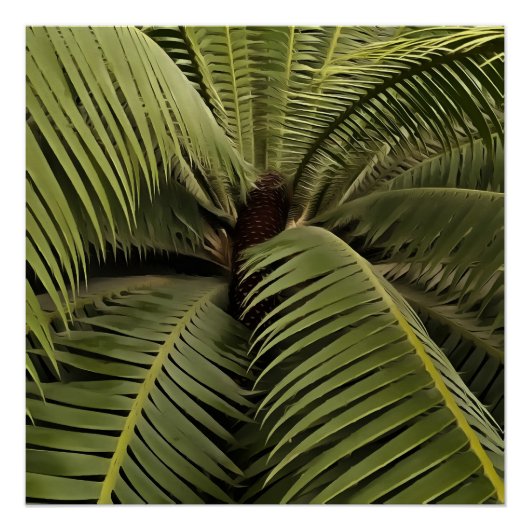 Tropical Palm Botanic Art Dioon Spinulosum Poster (Vorderseite)