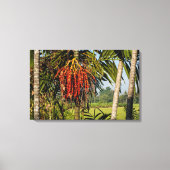 Tropical Palm Fruit Bali - Canvas Wall Art Print Leinwanddruck (Vorderseite)