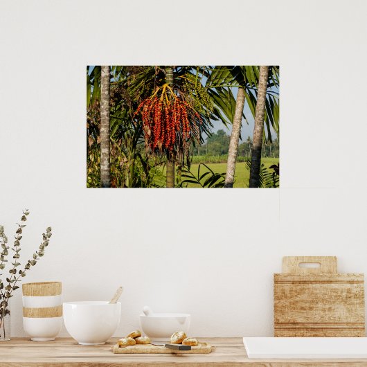 Tropical palm fruit - POSTER Wall ART (Küche)