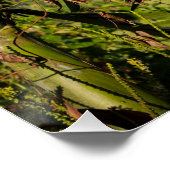 Tropical palm fruit - POSTER Wall ART (Ecke)