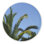 Tropical Palm Keramikknauf (Vorderseite)