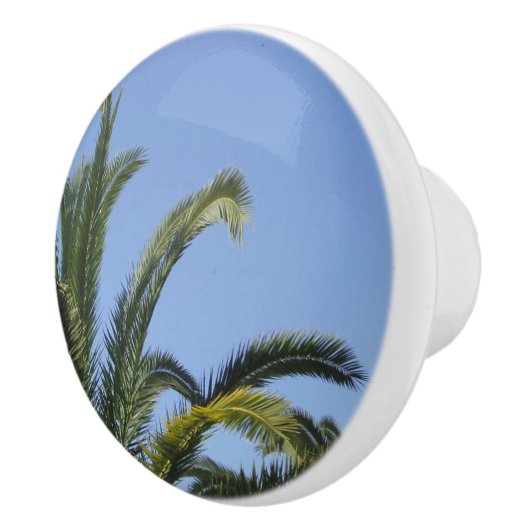 Tropical Palm Keramikknauf (Rechts)