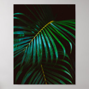 Tropical Palm Leaf Green Relaxing Meditative Poster