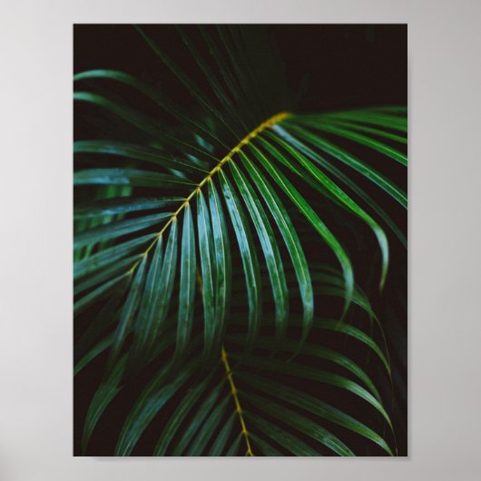 Tropical Palm Leaf Grün entspannen meditative Poster (Vorne)