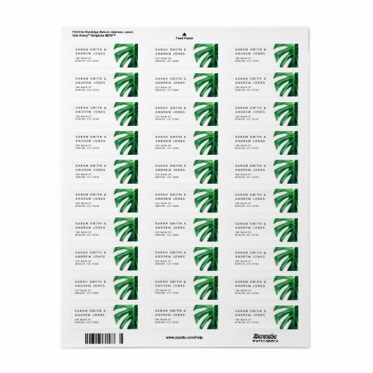 Tropical Palm Leaf Minimalistisches Adressetikett (Vorne)