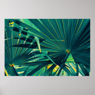 Tropical palm leaf texture background, Striped of  Poster