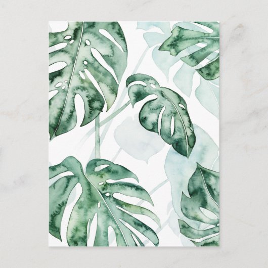 Tropical Palm Split Leaf Postkarte (Vorderseite)