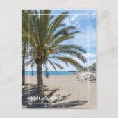 Tropical Palm Tree am Strand von Málaga Postkarte (Vorderseite)
