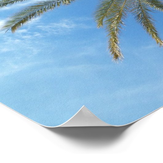 Tropical Palm Tree and Blue Sky Poster (Ecke)